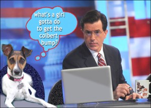 stephen-colbert-and-bitsy