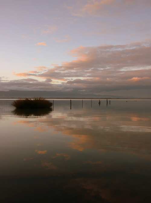 lake-wairarapa-at-dawn