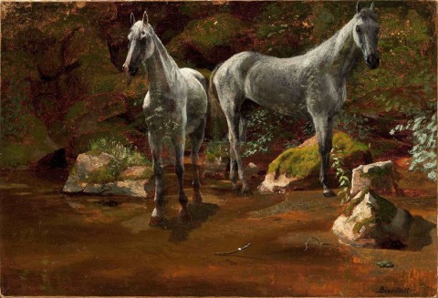 Study_of_Wild_Horses-Albert_Bierstadt