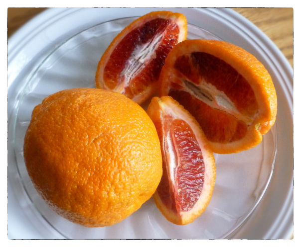 tamara blood oranges