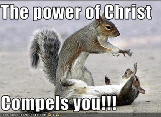 power_of_christ_squirrel