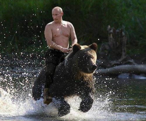 Putin-rides-a-bear 500