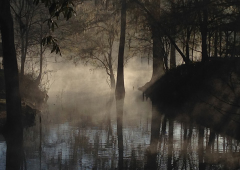 suwannee march 2014 005