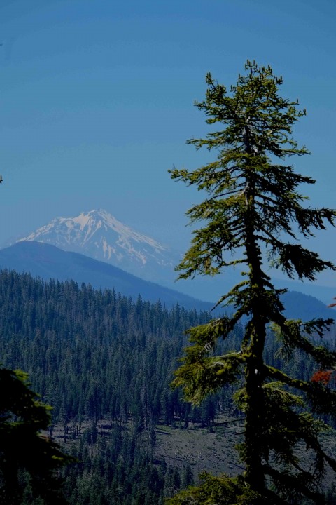 Shasta from Inspiration Point June 29 2014 edited, small