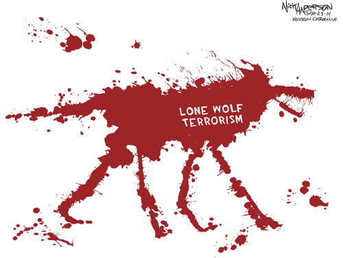 lone wolf terrorism anderson