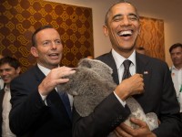 koala obama g20