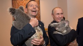 koala putin g20