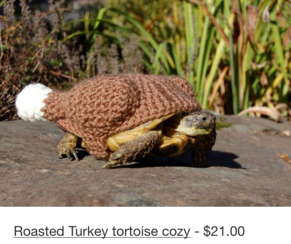 tortoise cozy