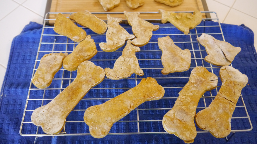 tamara pumpkin pb dog biscuits