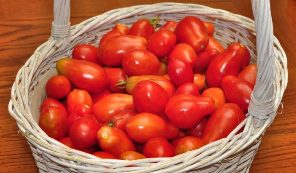 tamara salsa tomatoes