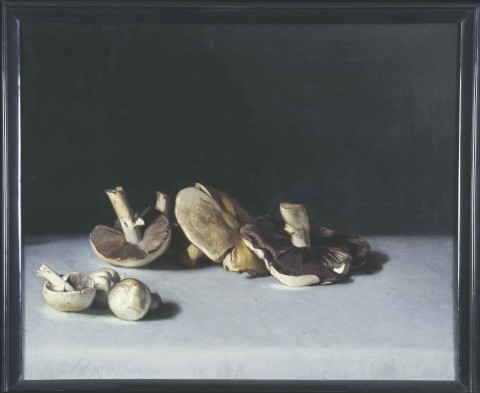 Champinjoner._Julius_Kronberg_1908._Olja_på_duk_-_Hallwylska_museet_-_47489