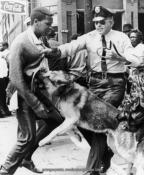 CIVIL RIGHTS, 1963.  Police dog attacking a young black man during the Youth Mass Demonstration in Birmingham, Alabama, spring 1963.