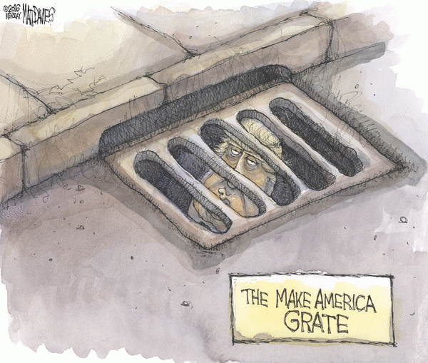 make america grate davies