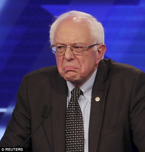 bernie sanders hair balloon