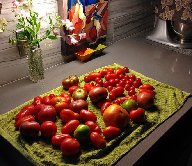 marvel-16-sept-few-tomatoes