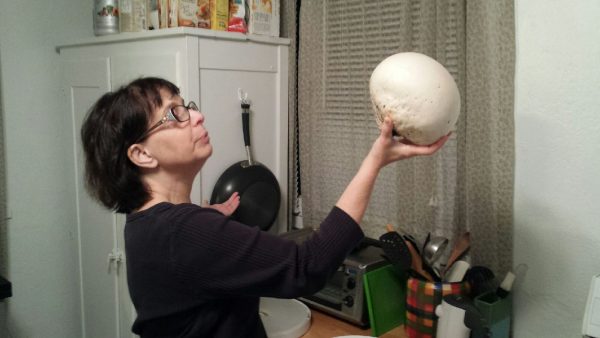 alas-poor-yorick-puffball