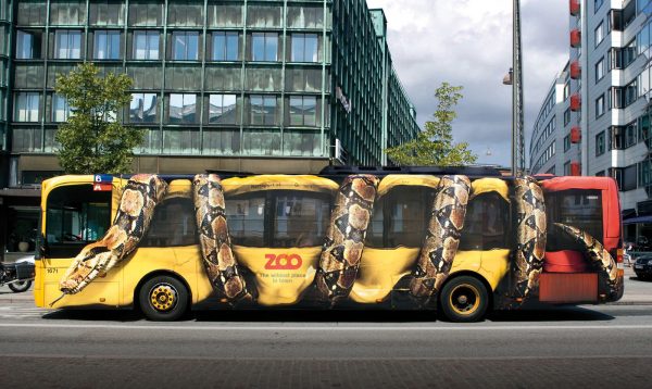 zoo_bus