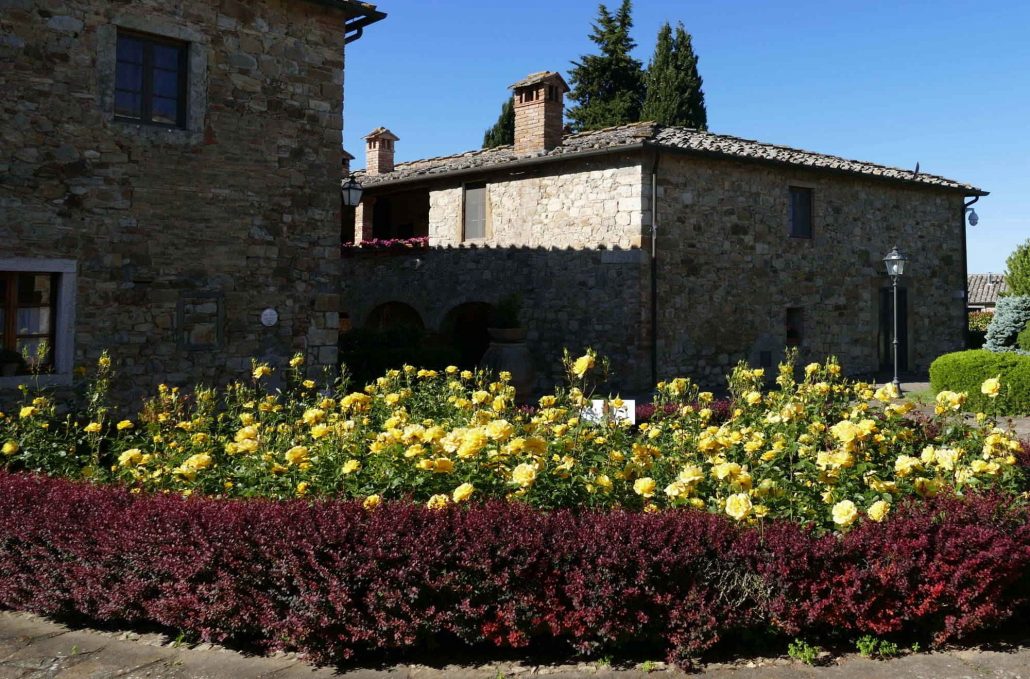 1000045 Reserva di Fizzano courtyard w yellow roses