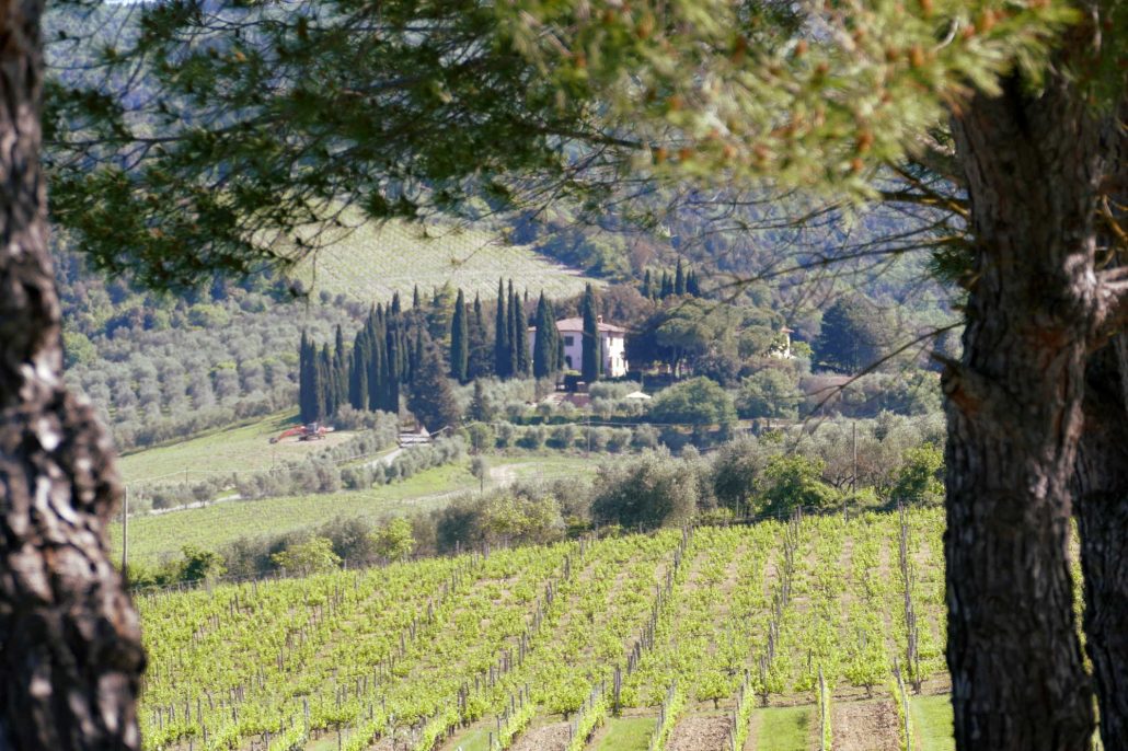 1000075 Tuscan villa near Riserva di Fizzano