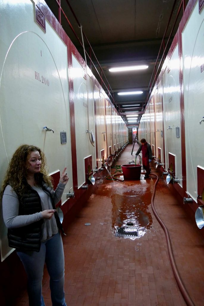 1000148 Wine tanks at Rocca delle Macie with our lovely guide