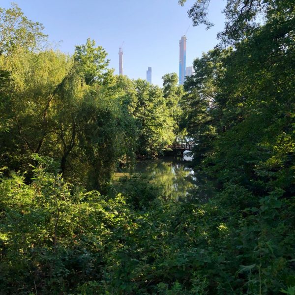 Oak Bridge facing south