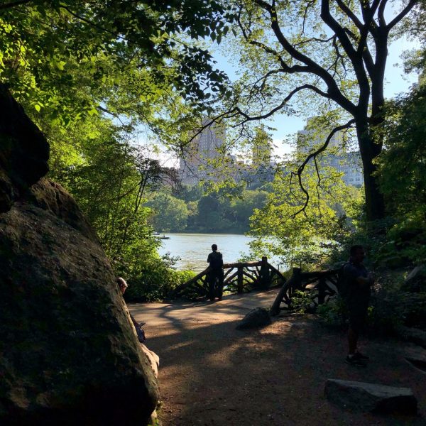 Somewhere in the Ramble, looking out on the lake