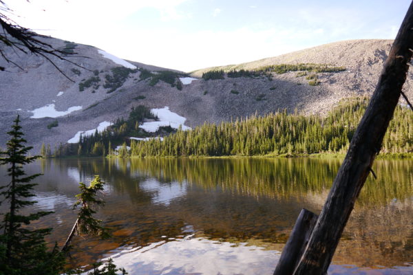 Mountain Lake at tree line