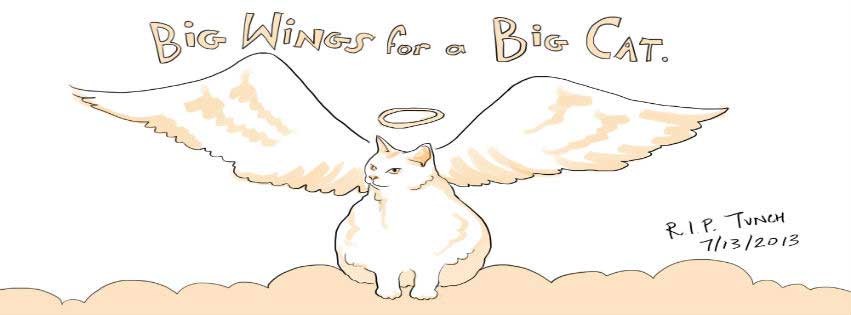 drawing of beloved cat, Tunch, with wings, created by a Balloon Juice commenter