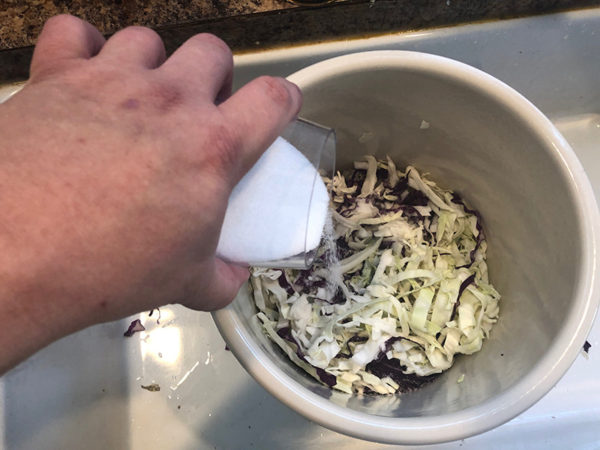 shredded cabbage in a crock with salt being poured in