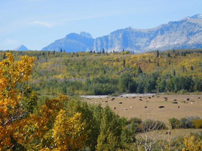 On The Road - realbtl - East side Glacier NP. 2