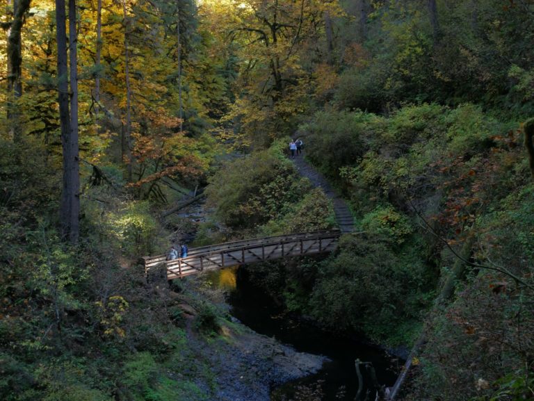 On The Road - Kelly - Bridge Over Quiet Water