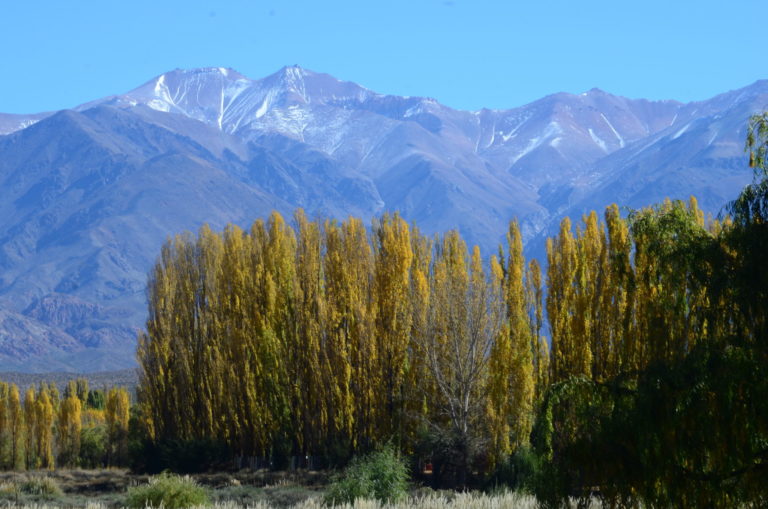 On The Road - Gin & Tonic - Mendoza, Argentina