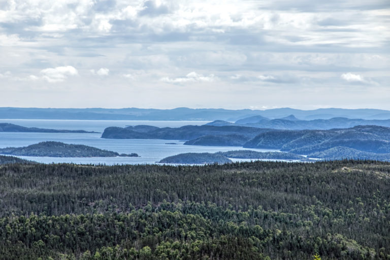 On The Road - arrieve - Newfoundland