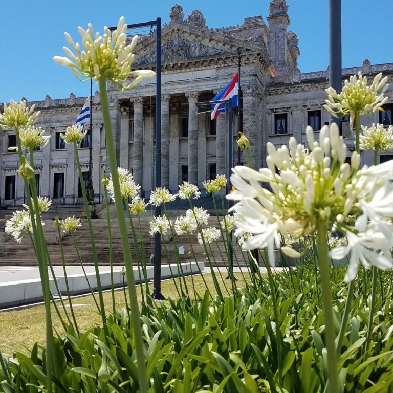 On The Road - Dorothy A. Winsor - Montevideo, Uruguay and Buenos Aires, Argentina 2