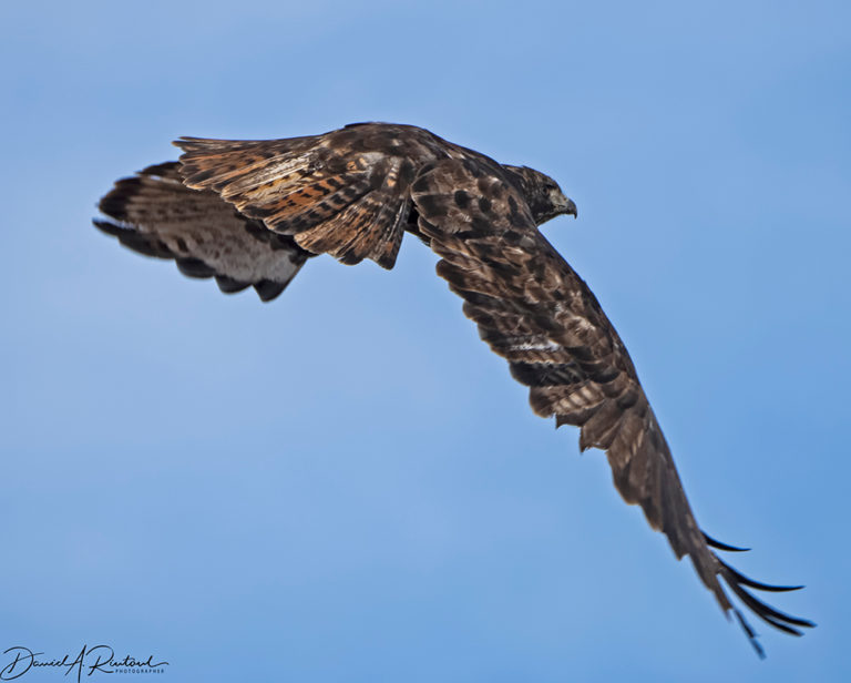 On The Road - Albatrossity - Winter Hawks 6
