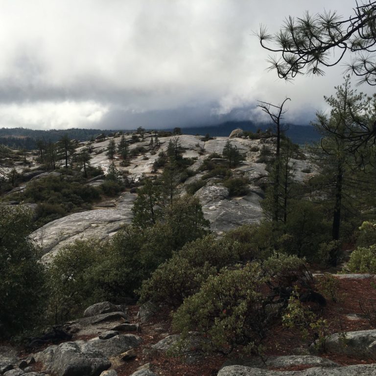 On The Road - Origuy - Orienteering in Butte County 3