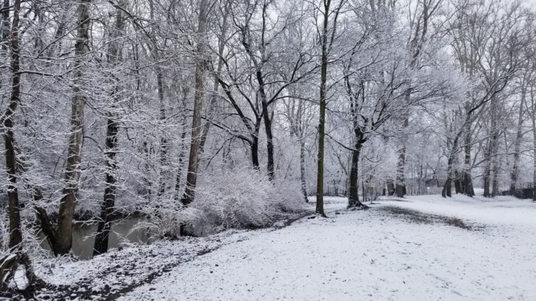 On The Road - mad citizen - Winter Snow February 26 2020 Fishers Indiana 6