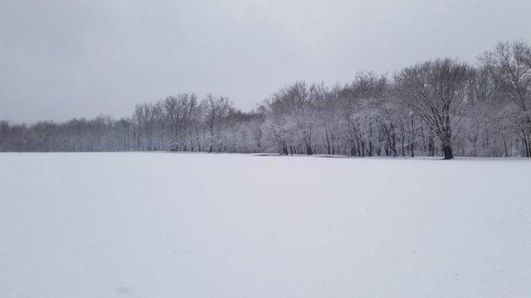 On The Road - mad citizen - Winter Snow February 26 2020 Fishers Indiana 2