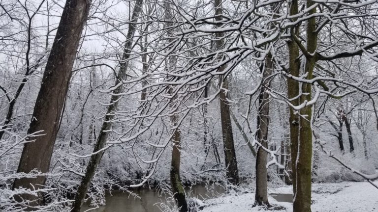 On The Road - mad citizen - Winter Snow February 26 2020 Fishers Indiana 7