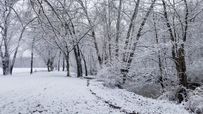 On The Road - mad citizen - Winter Snow February 26 2020 Fishers Indiana 4