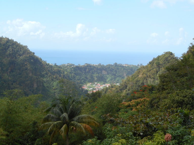 On The Road - Betty - Our Place in Dominica 3