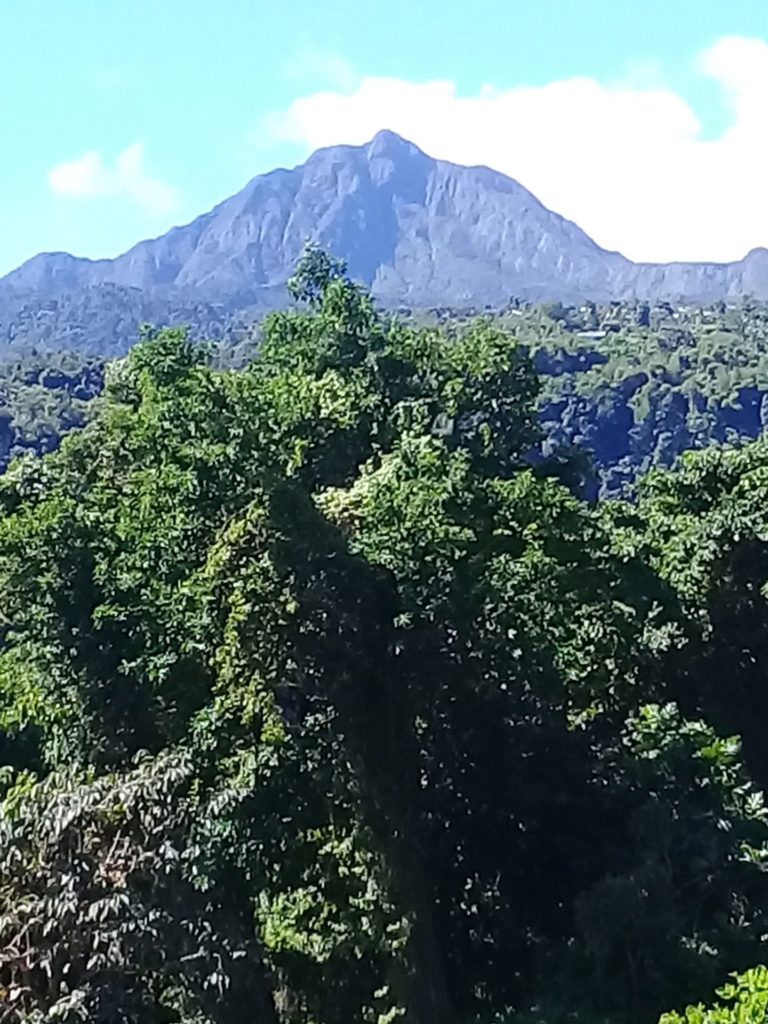 On The Road - Betty - Our Place in Dominica 5