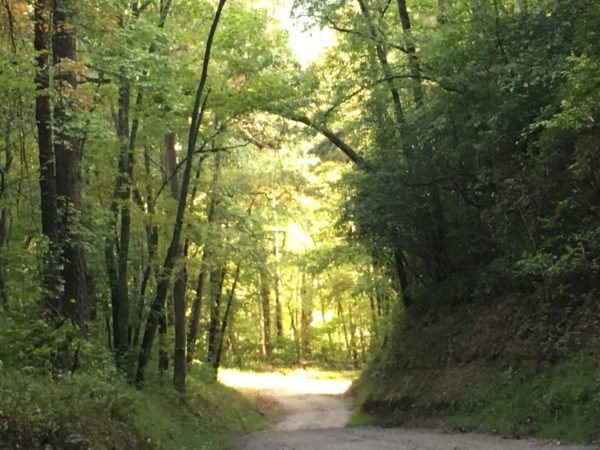 On The Road - SkyBluePink - Literally- On The Road