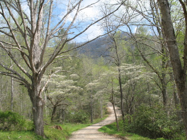On The Road - SkyBluePink - Literally- On The Road 3