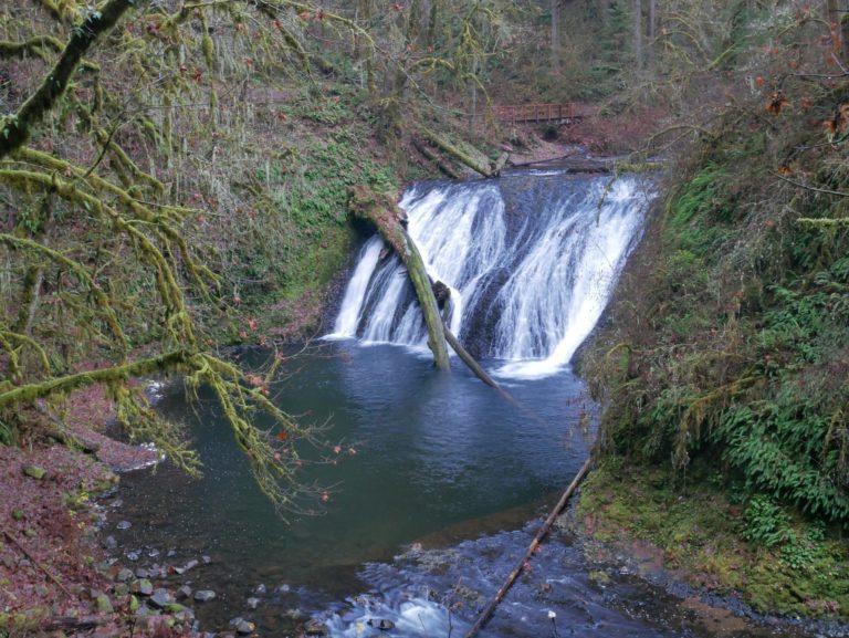 On The Road - Kelly - Winter at Silver Falls 2