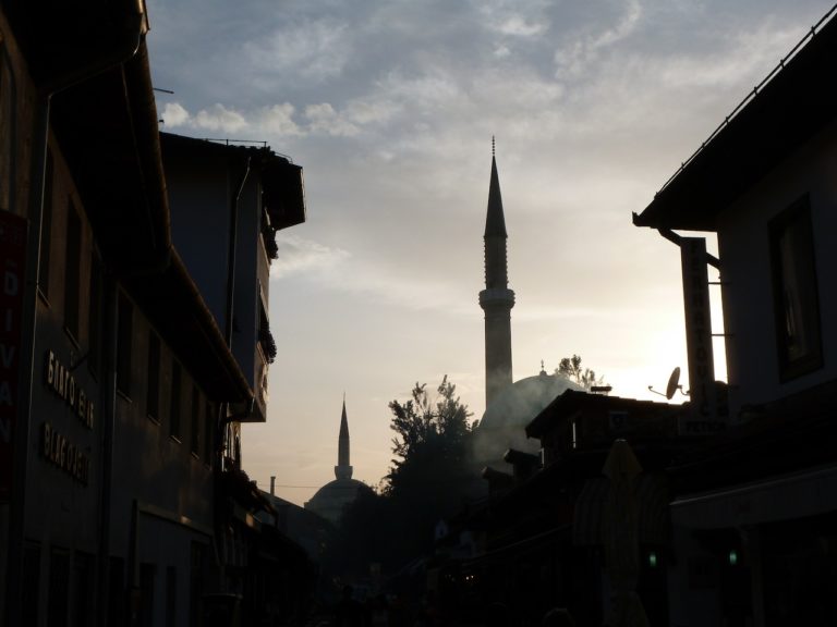 On The Road - Sister Golden Bear - Sarajevo, Bosnia and Herzegovina 6