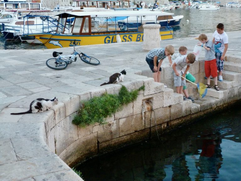 On The Road - Sister Golden Bear - Dubronik, Croatia 3