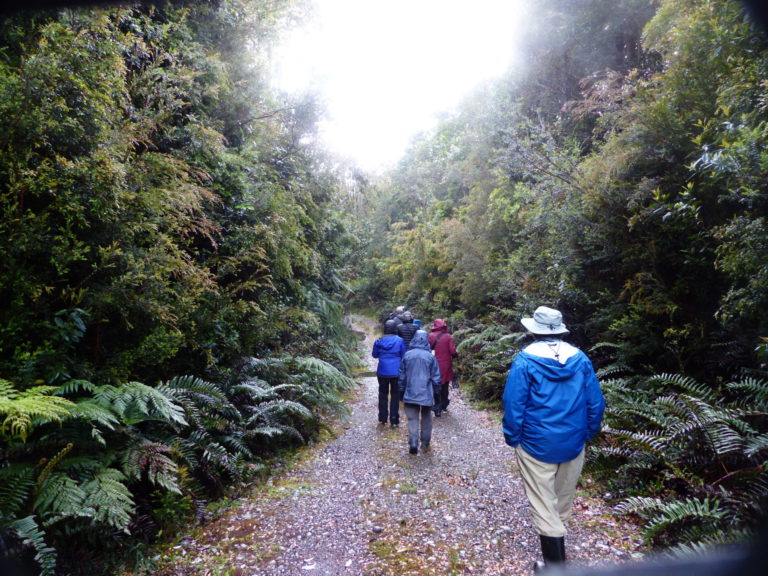 On The Road - Mike S (Now with a Democratic Congressperson!) - Tepuhueico Park, Chiloé Island, Los Lagos Region, Chile 7