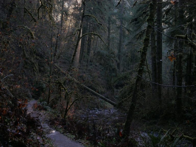 On The Road - Kelly - Winter at Silver Falls 3