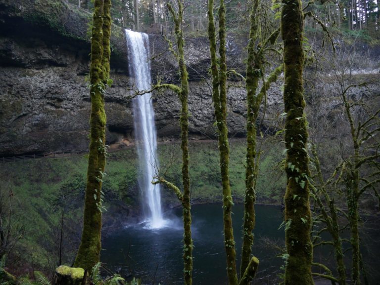 On The Road - Kelly - Winter at Silver Falls 5